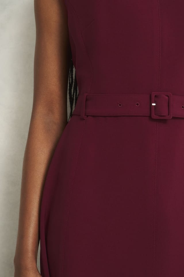 Hobbs London Hobbs London Women's Leslie Belted High Neck Midi Dress in Wine - 3