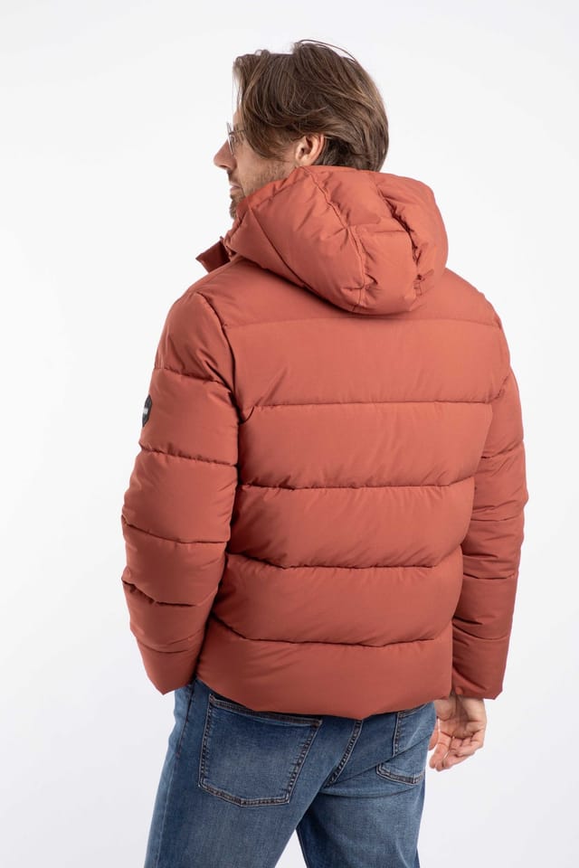 Weird Fish Weird Fish Men's Calderwood Heavy Weight Padded Jacket in Brown - 3