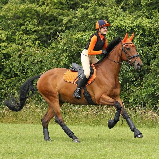 Hy Sport Active Hy Sport Active Men's Horse Riding Tights in Light Beige - 3