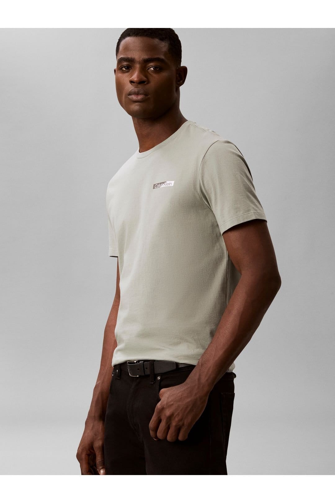 Calvin Klein Calvin Klein Men's Ss Split Standard Graphic Tee Shadow in Grey - 4