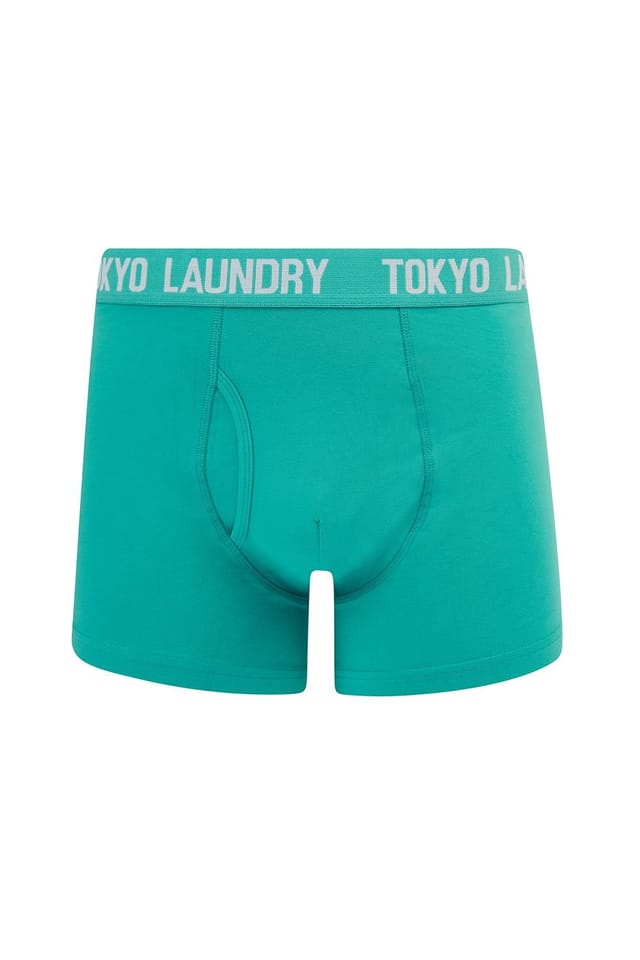 Tokyo Laundry Tokyo Laundry Men's 5-Pack Cotton Boxers in Navy - 3
