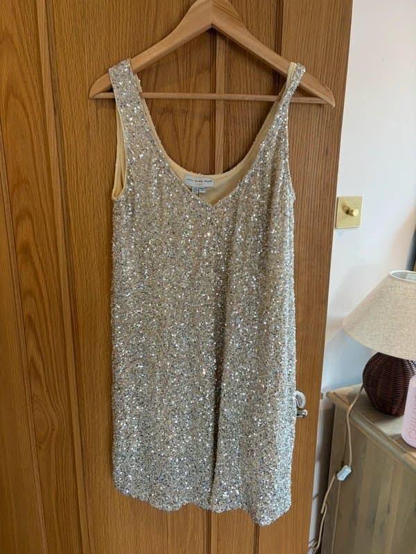 Never Fully Dressed Never fully dressed silver sequin mini dress