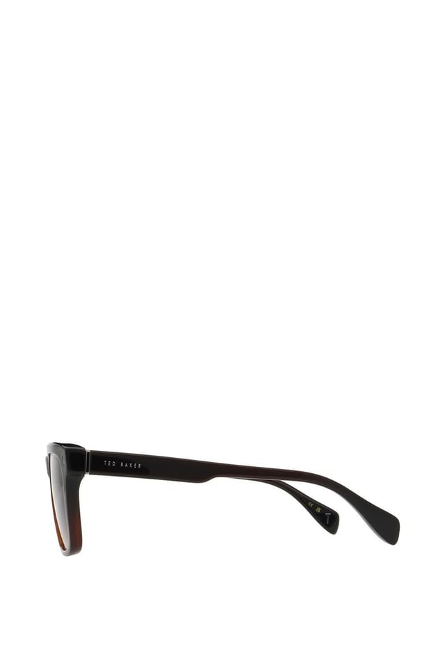 Ted Baker Ted Baker Men's Rowen Sunglasses in Brown - 3