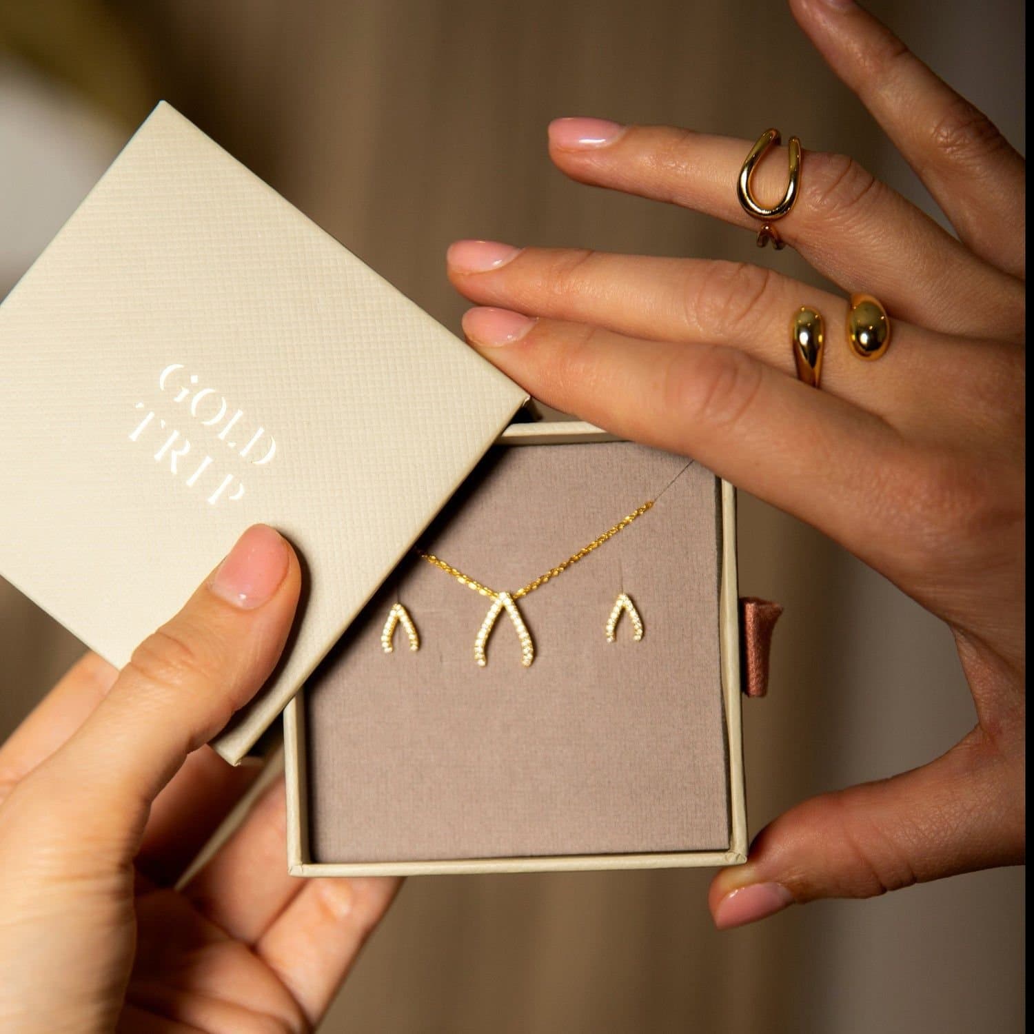 Gold Trip Gold Trip Women's Sparkling Wishbone Necklace & Earrings Gift Set in Gold