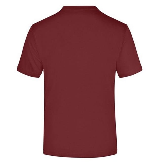James and Nicholson James and Nicholson Men's Medium Round Neck T-Shirt in Wine - 2