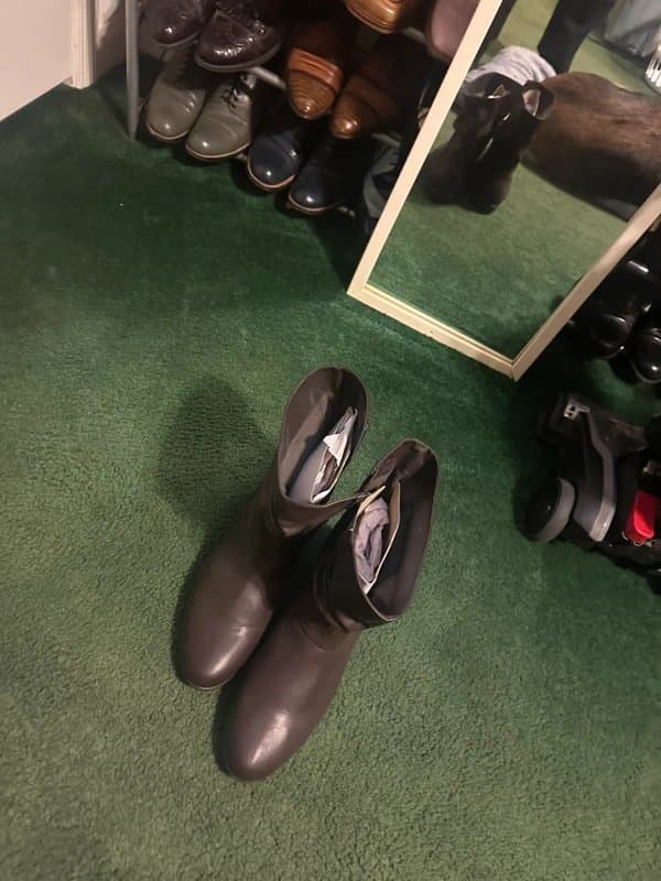 New Look Leather ankle boots