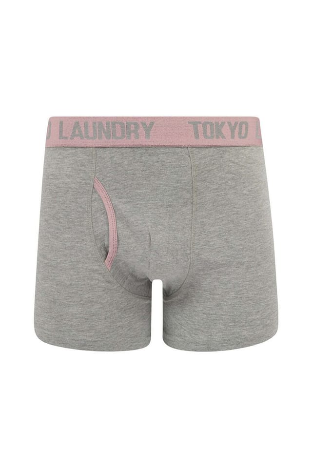 Tokyo Laundry Tokyo Laundry Men's 6-Pack Cotton Boxers in Light Green - 3