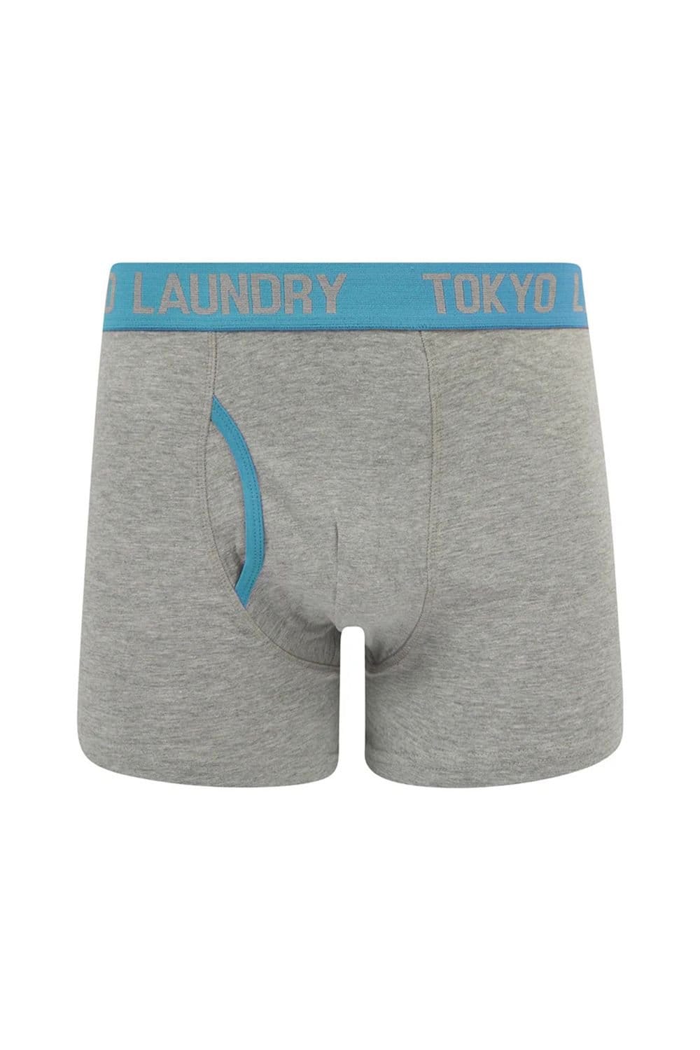 Tokyo Laundry Tokyo Laundry Men's 6-Pack Cotton Boxers in Light Green - 4
