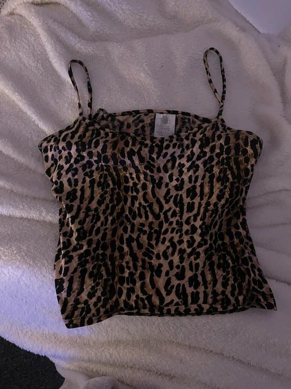 Zara Leapord crop top