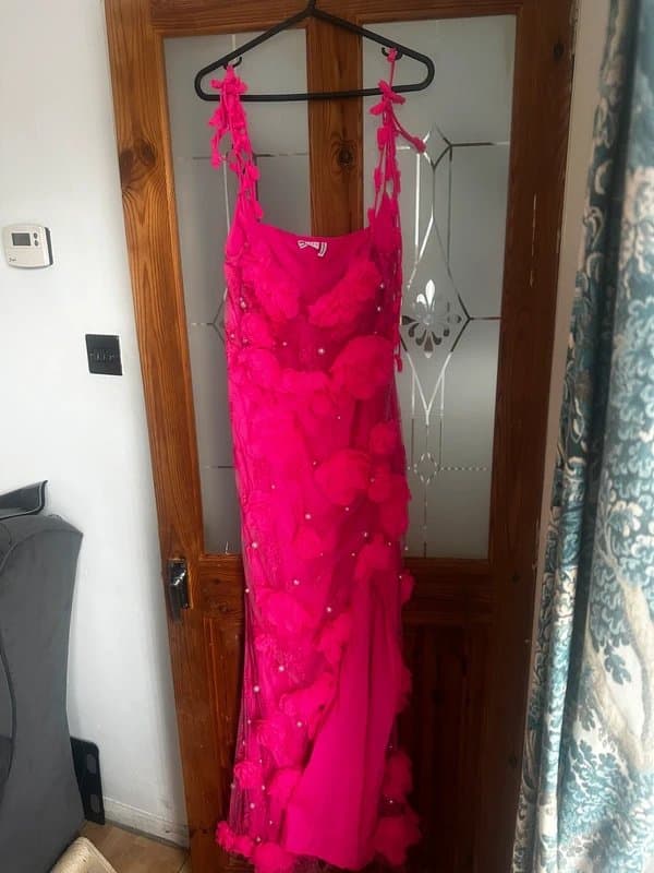 ASOS ASOS Luxe hot pink flower dress
