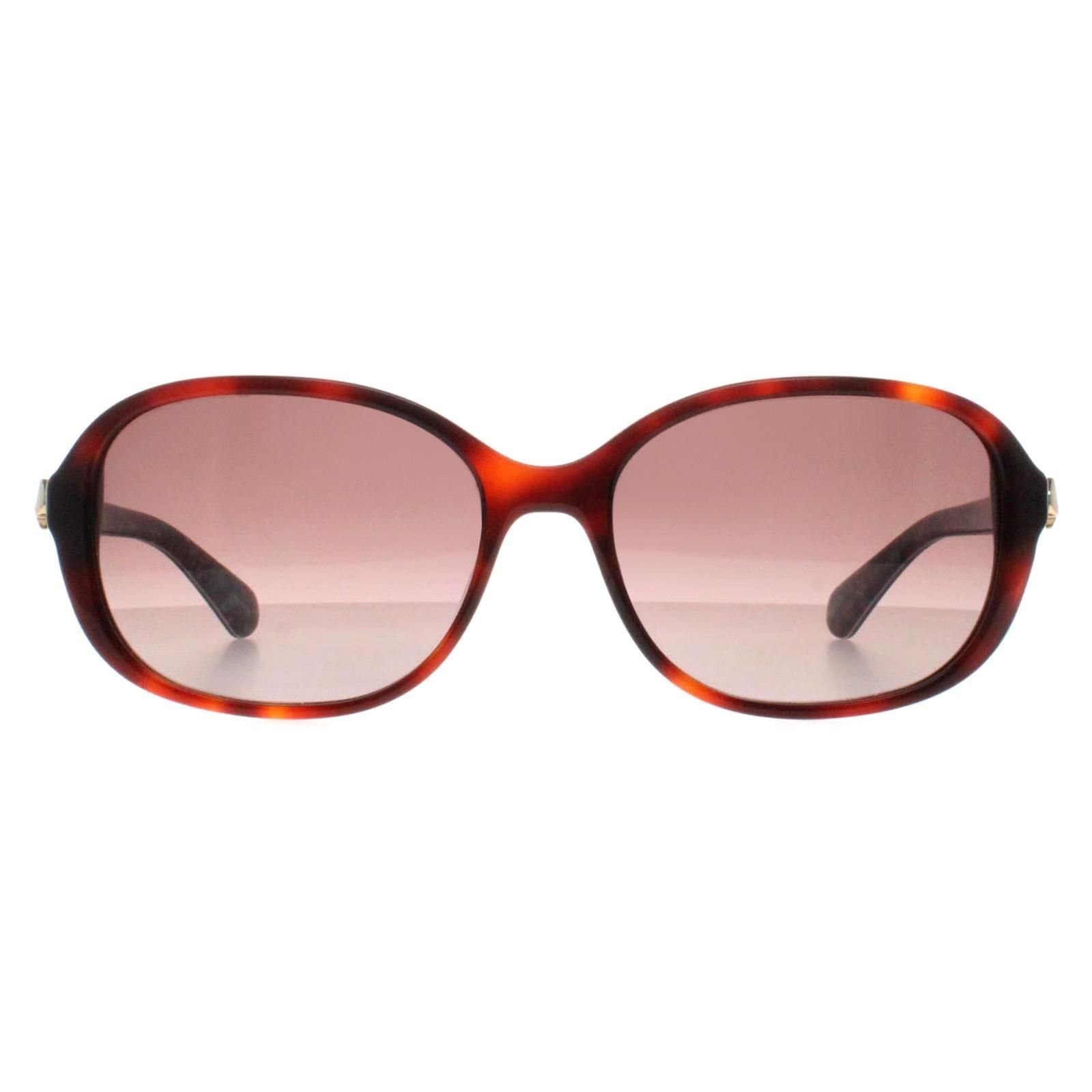 Kate Spade Kate Spade Women's Butterfly Shiny Dark Havana Brown Gradient Izabella/G/S