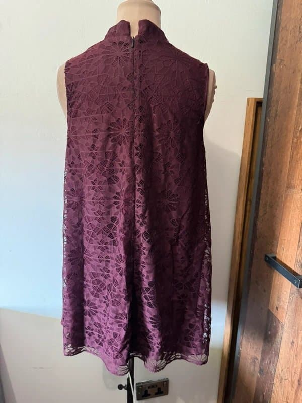 ASOS Design Burgundy Red Floral Lace Sleeveless Swing Dress – High Mock Neck Mini wine goth size 10