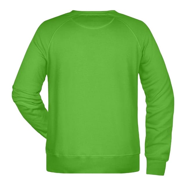 James and Nicholson James and Nicholson Men's Plain Sweatshirt in Green - 2