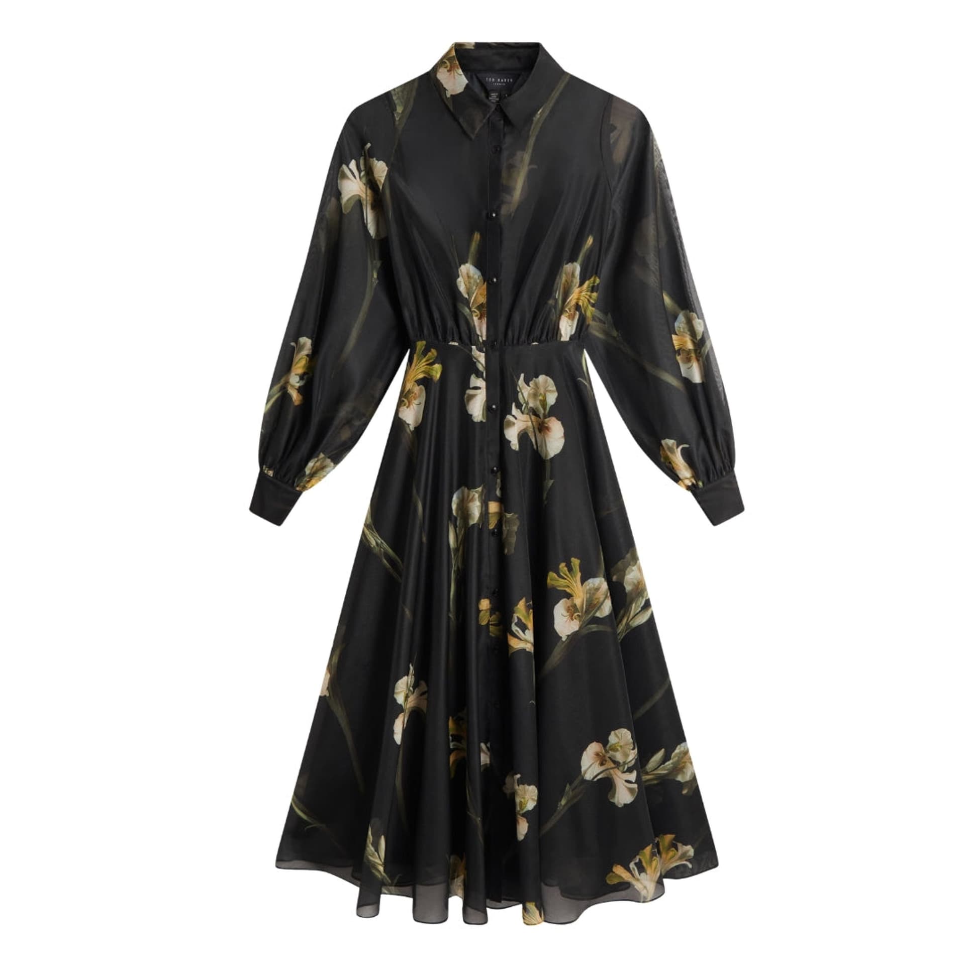 Ted Baker Ted Baker Women's Liorra Long Sleeve Collared Regular Fit Midi Dress in Black