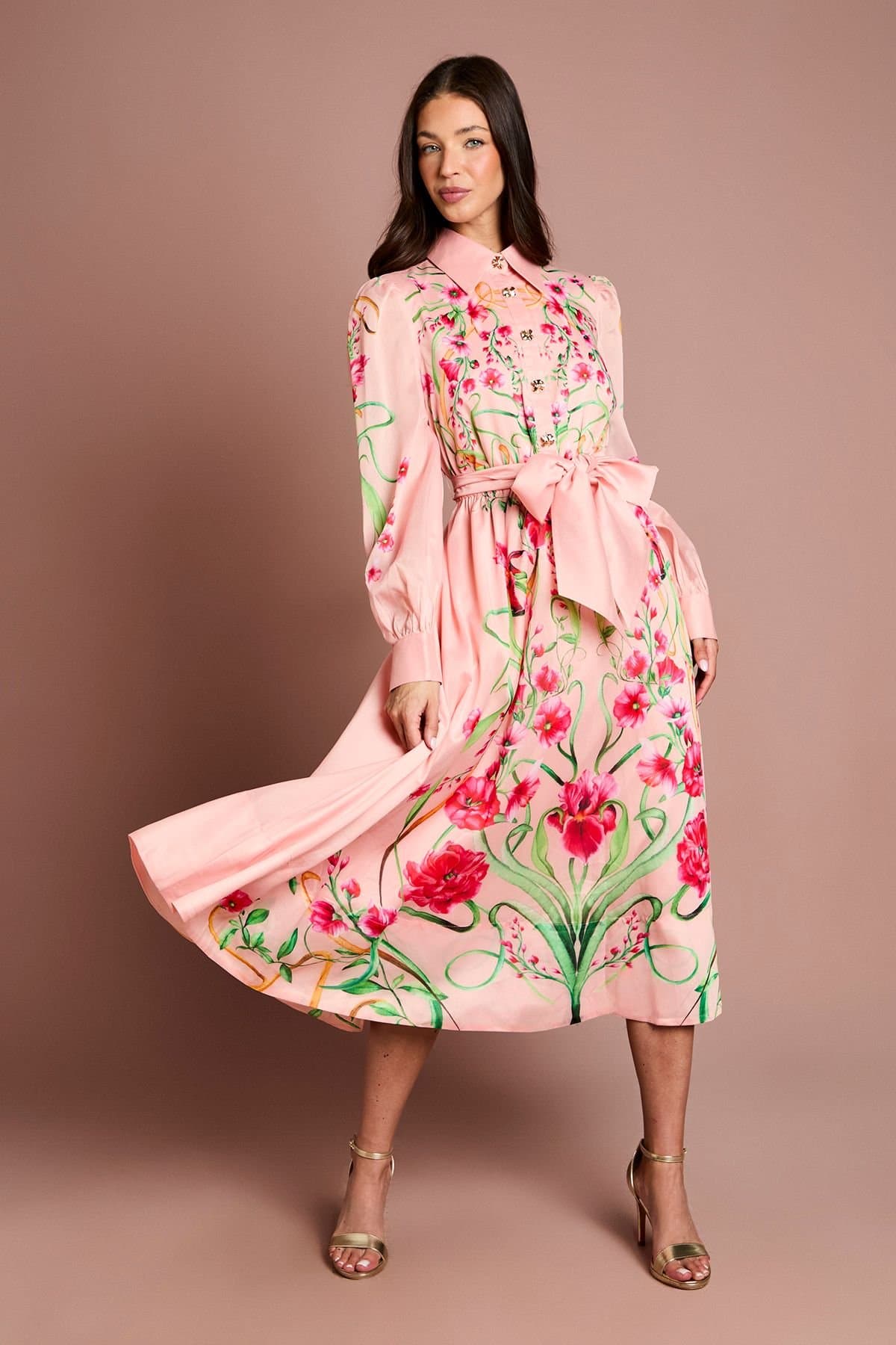 Coast Coast Women's Boarder Print Organza Shirt Dress in Blush