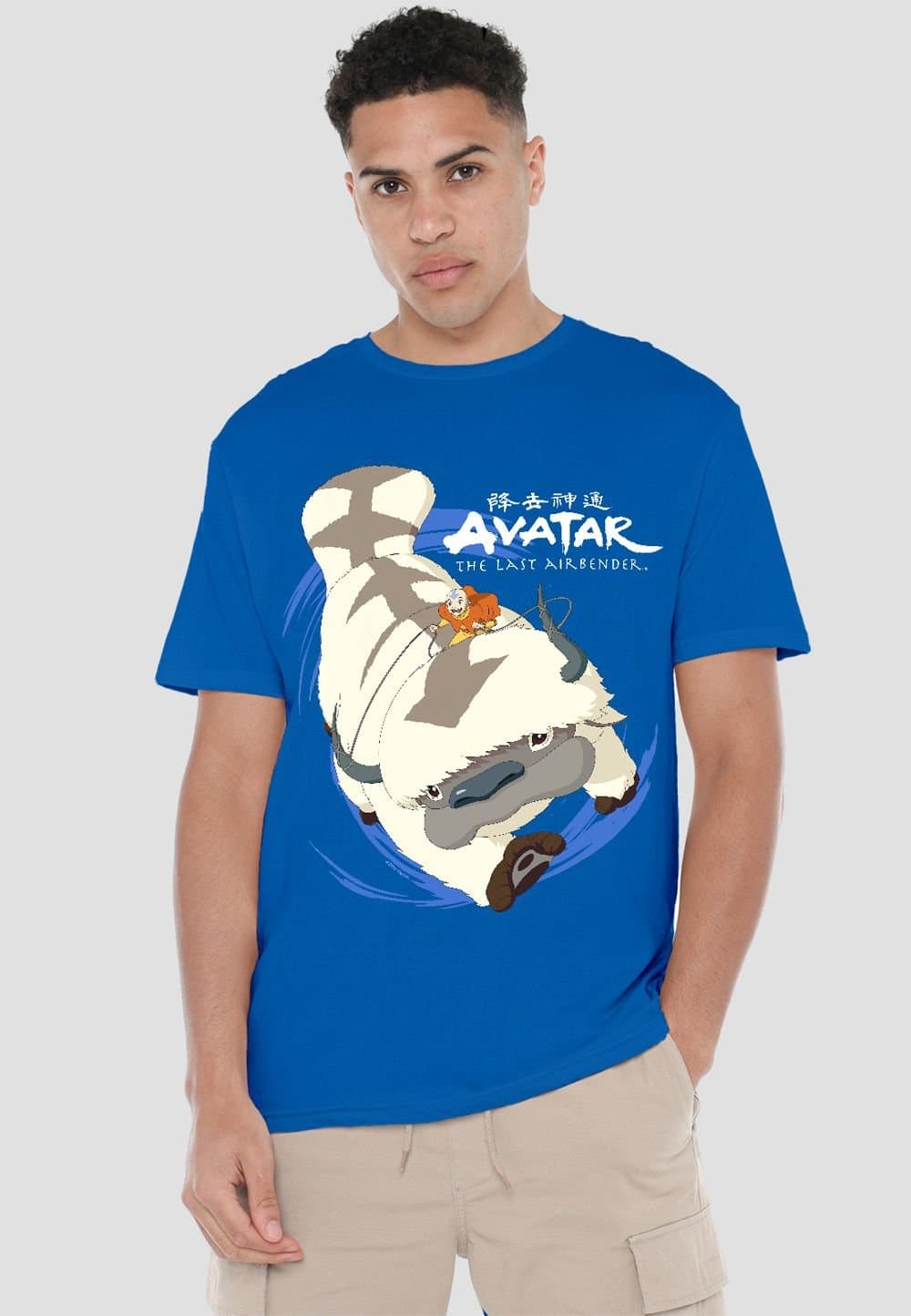 Avatar: The Last Airbender Avatar: The Last Airbender Men's Avatar The Last Airbender Appa In Flight T-Shirt, Royal Blue