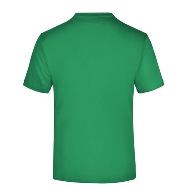 James and Nicholson James and Nicholson Men's Medium Round Neck T-Shirt in Green - 2