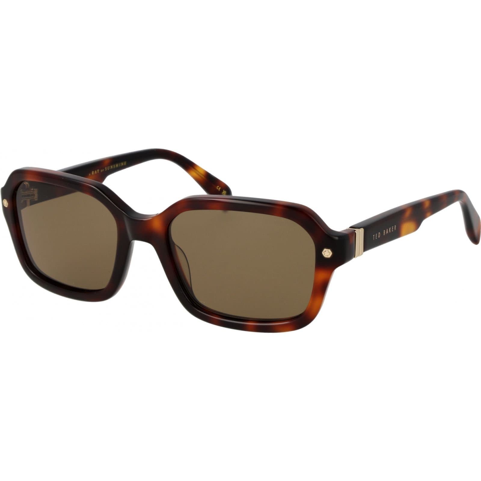 Ted Baker Ted Baker Men's TB1697 55101 Square/Rectangle Sunglasses in Brown