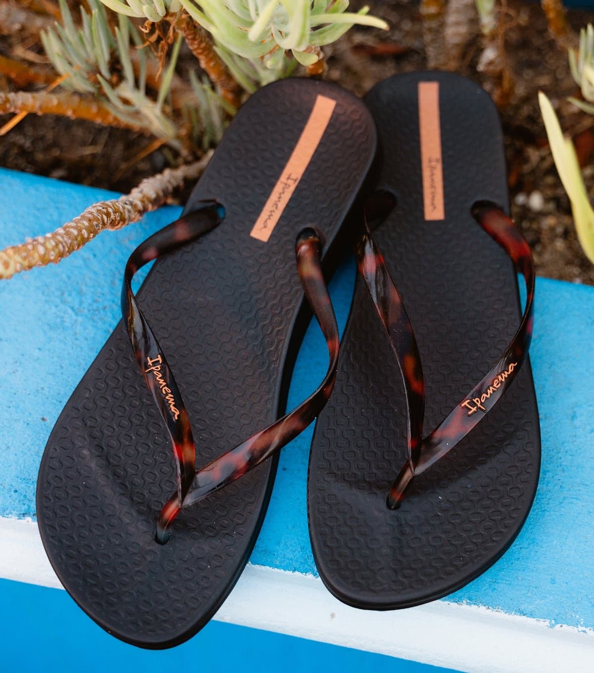 Ipanema Women's Black Tortoiseshell Effect Flip Flops Ipanema New Look