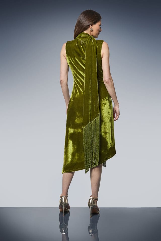 Wallis Wallis Women's Velvet Tie Neck Tassel Midi Dress in Olive - 3