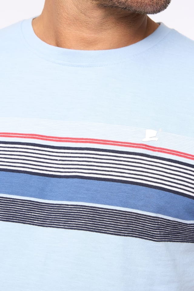 Bewley&Ritch Bewley&Ritch Men's Laylen 100% Cotton Yarn-Dyed Stripe Crew Neck T-Shirt in Light Blue - 2