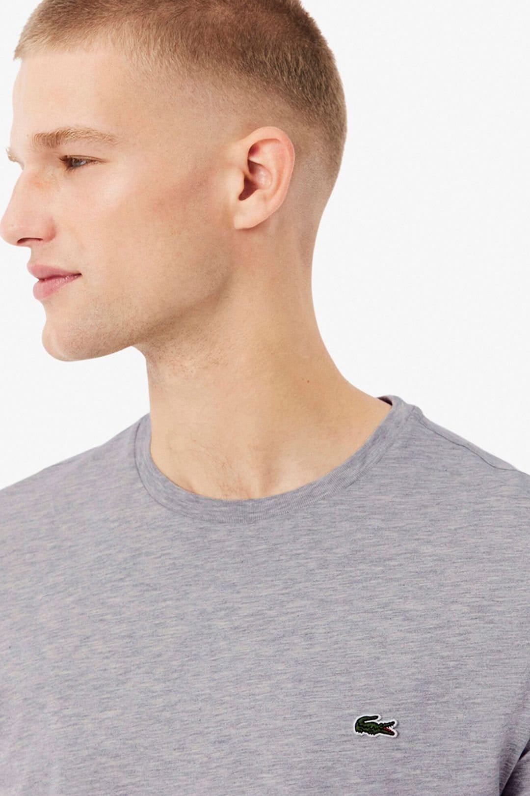 Lacoste Lacoste Men's Logo T-Shirt Silver Chine in Grey - 4