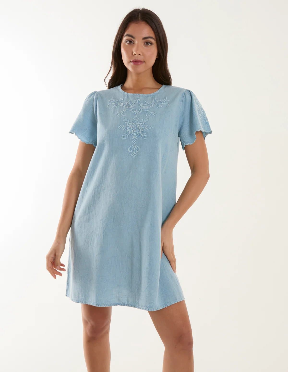 Blue Vanilla Embroidered Mini Dress