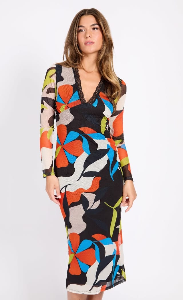 Little Mistress Little Mistress Women's Printed Mesh Midaxi Dress - 3