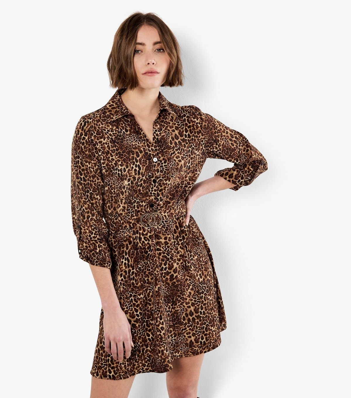 Apricot Women's Brown Leopard Print Belted Dress Apricot New Look