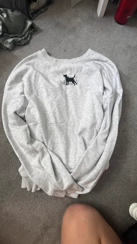 ASOS Design Grey sweatshirt with cute embroidered Labrador :)