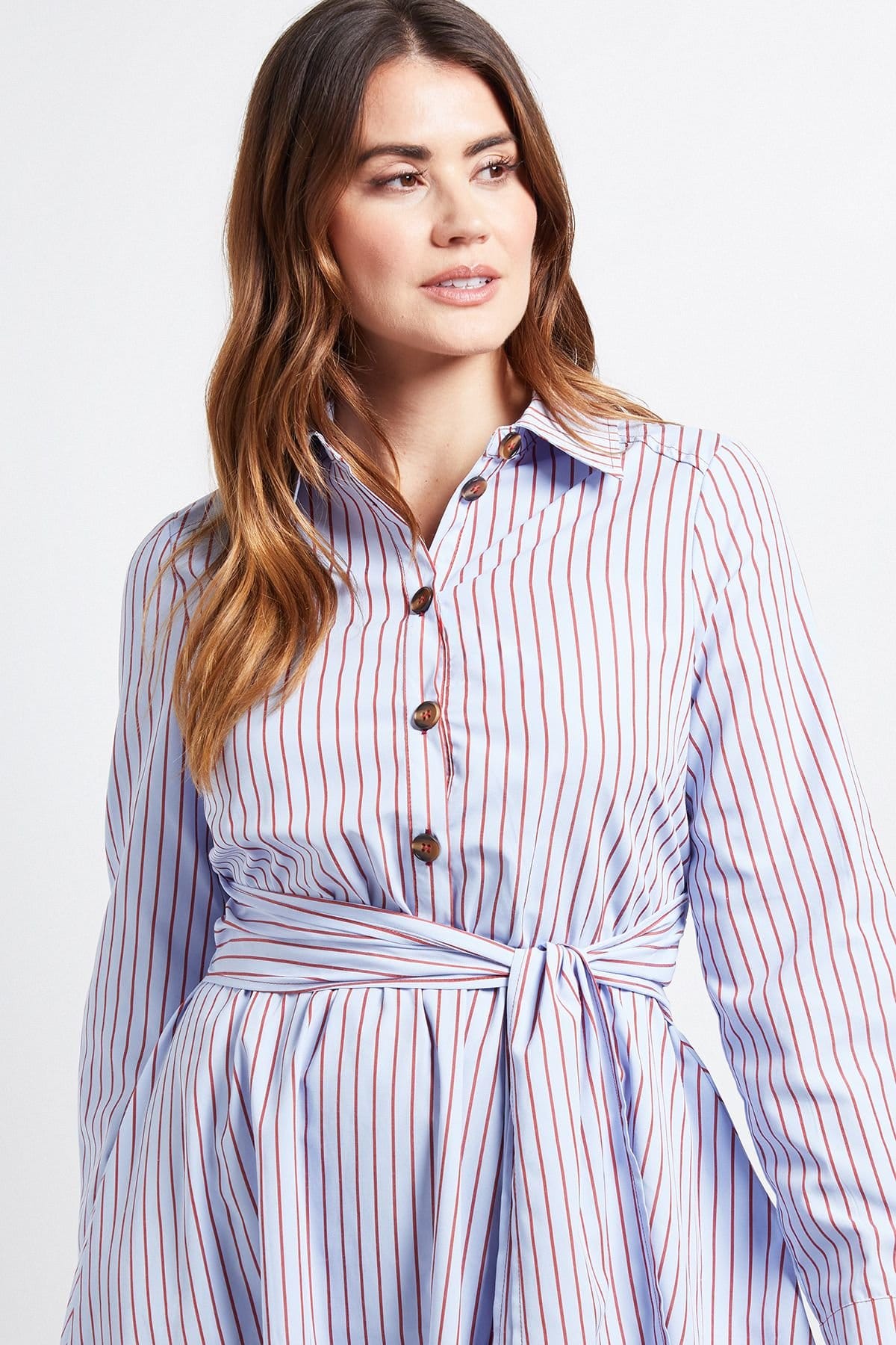 Wallis Wallis Women's Stripe Belted Shirt Dress in Blue - 4