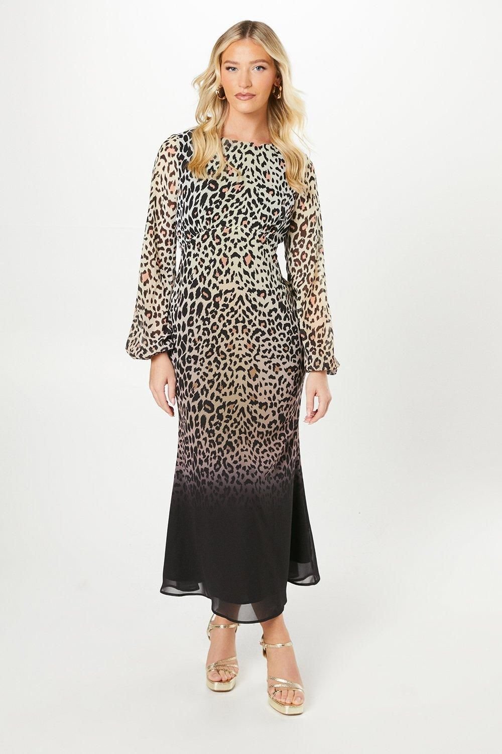 Debut London Debut London Women's By Coast Animal Print Blouson Sleeve Georgette Midi Dress - 2
