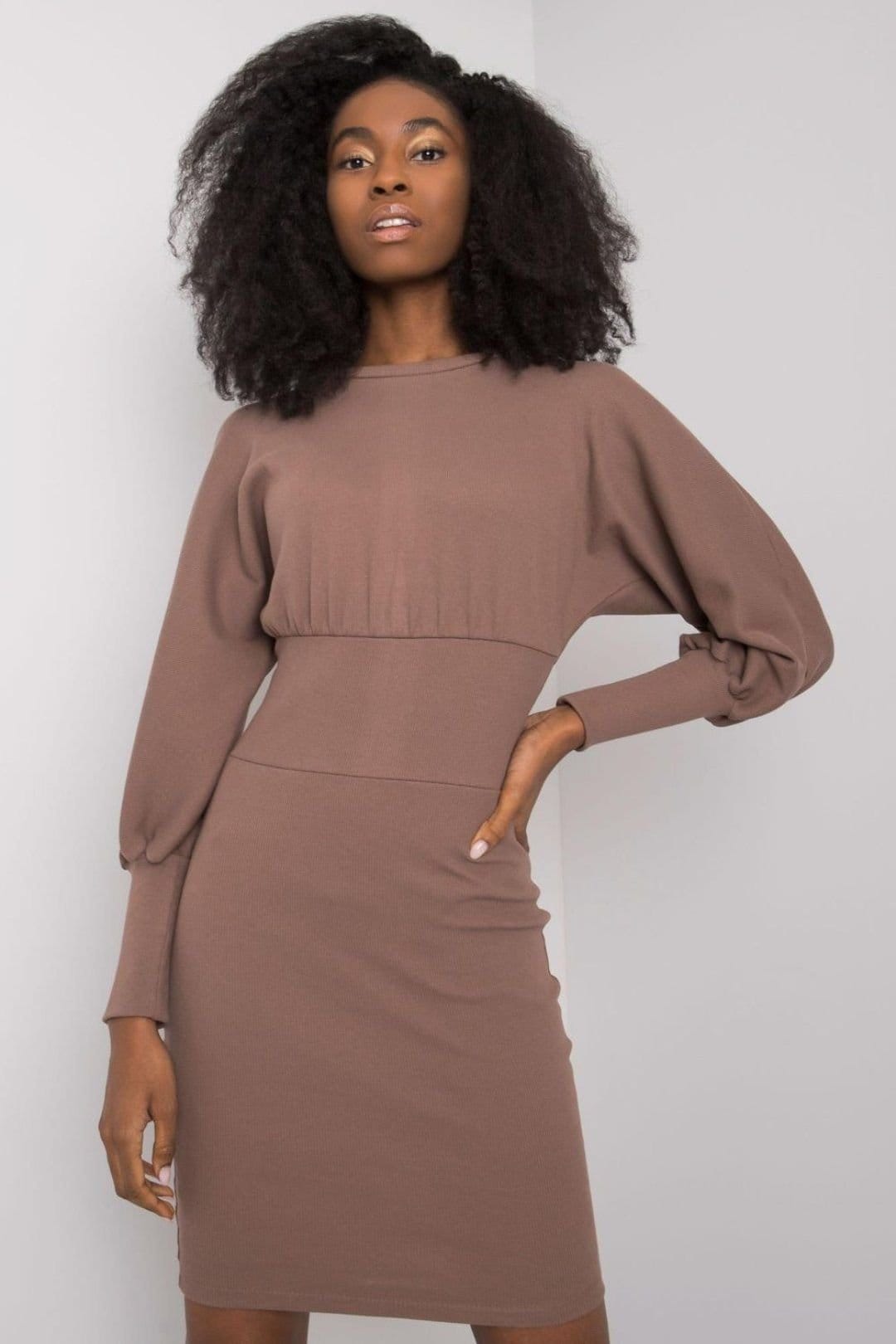 Love Lace Brown Fitted Long Sleeve Day Dress