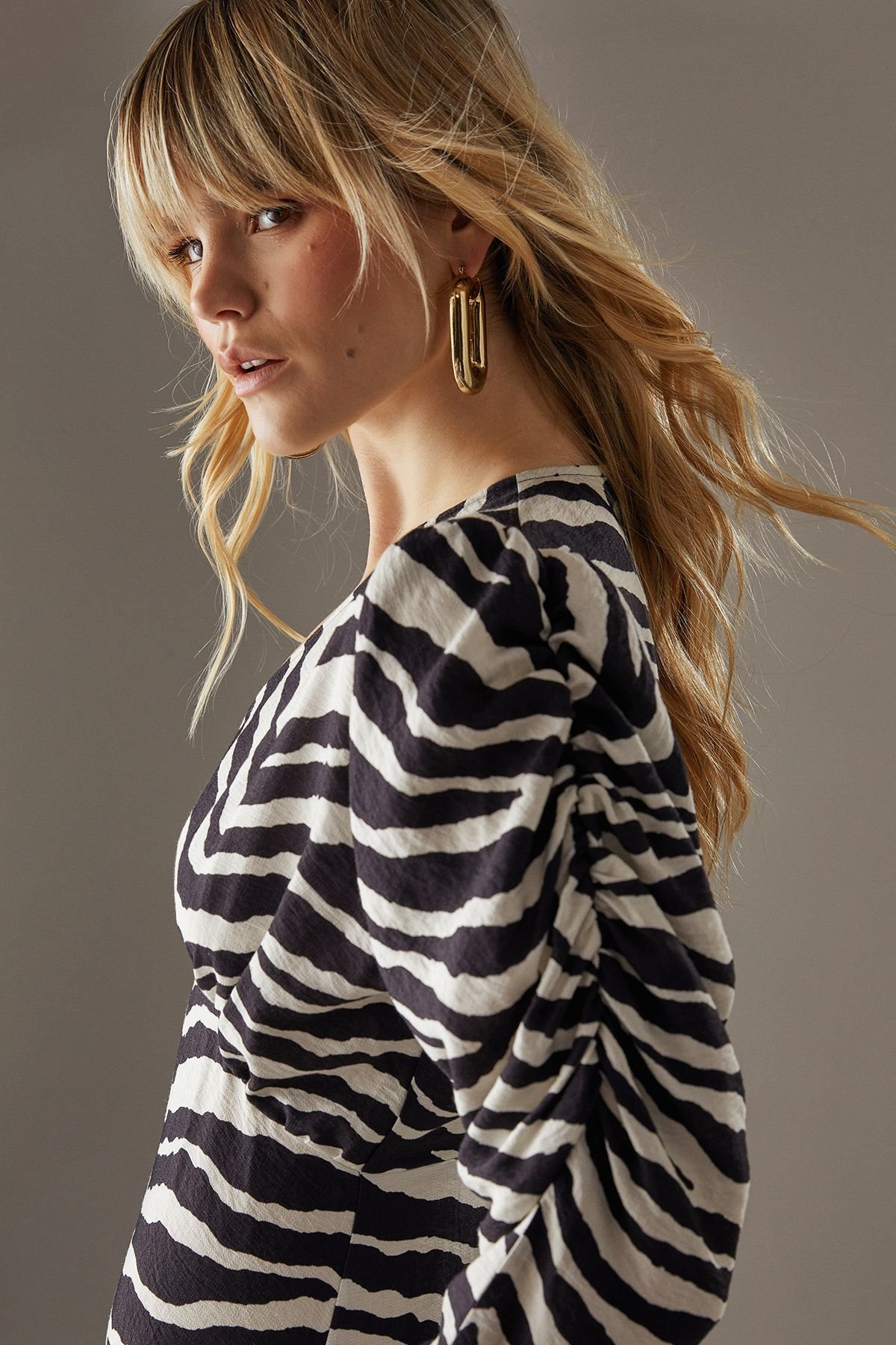 Warehouse Warehouse Women's Zebra Viscose V Neck Long Puff Sleeve Midi Dress - 4