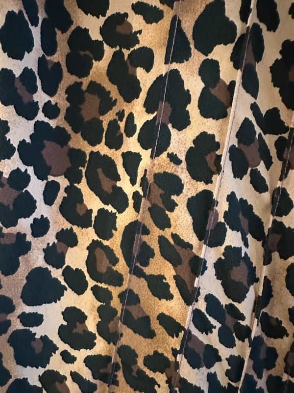 ASOS Design ASOS leopard print maxi dress