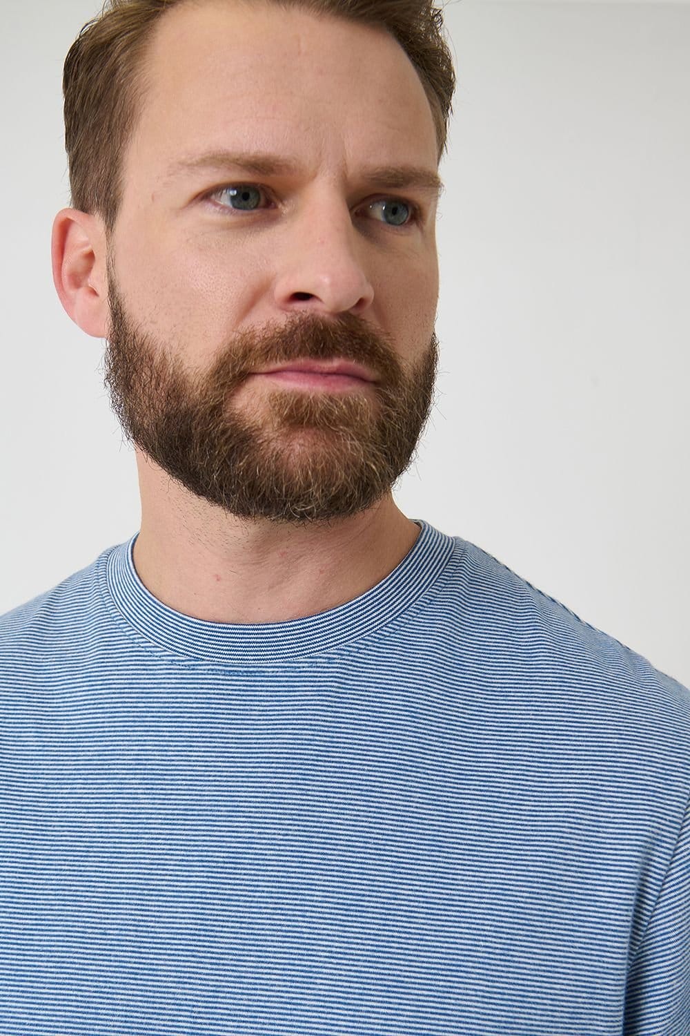 Saltwell Saltwell Men's Stripe Crew Neck Cotton T-Shirt in Blue - 4