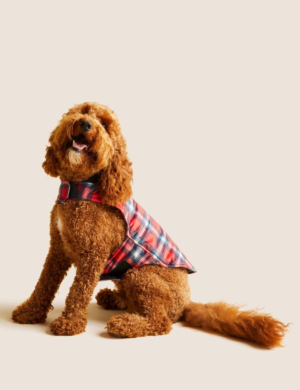 Marks & Spencer M&S Personalised Checked Jumper for Pets Red Mix