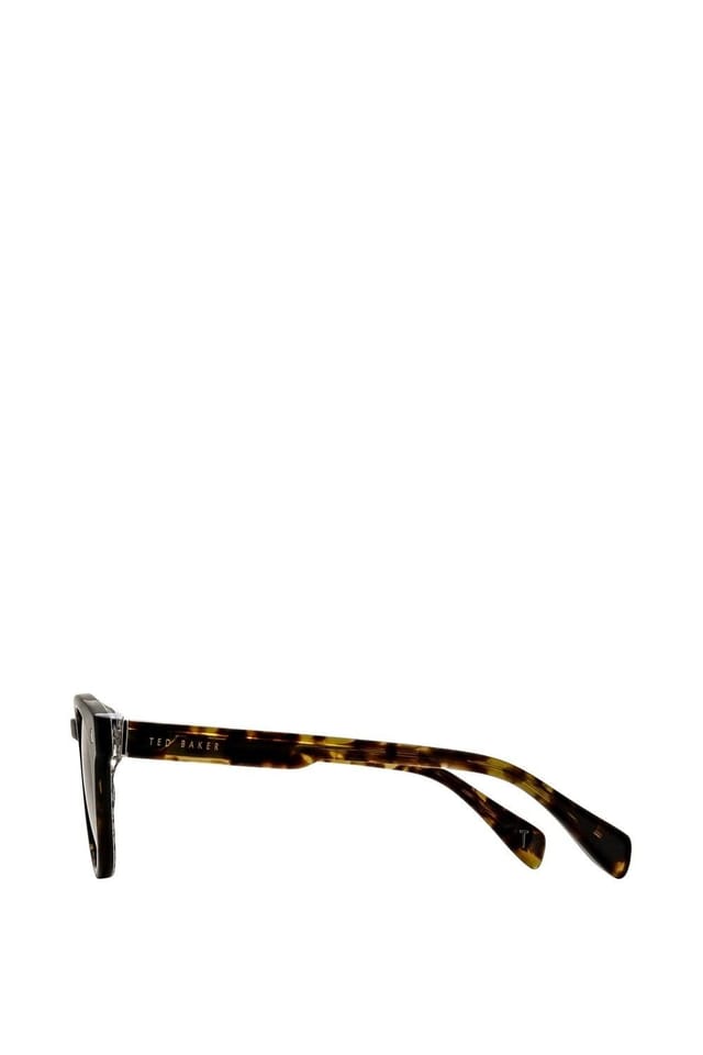 Ted Baker Ted Baker Men's Dax Sunglasses in Brown - 3