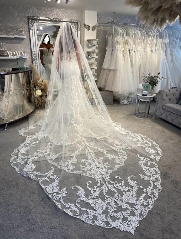 Elysee Elysee Cléopâtre Wedding Dress + Matching Veil – Size 10 – Never Worn