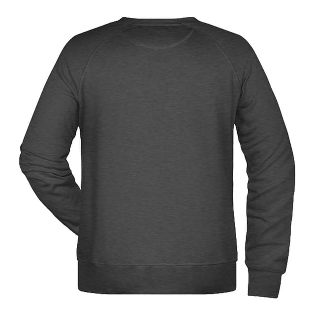 James and Nicholson James and Nicholson Men's Plain Sweatshirt in Black - 2
