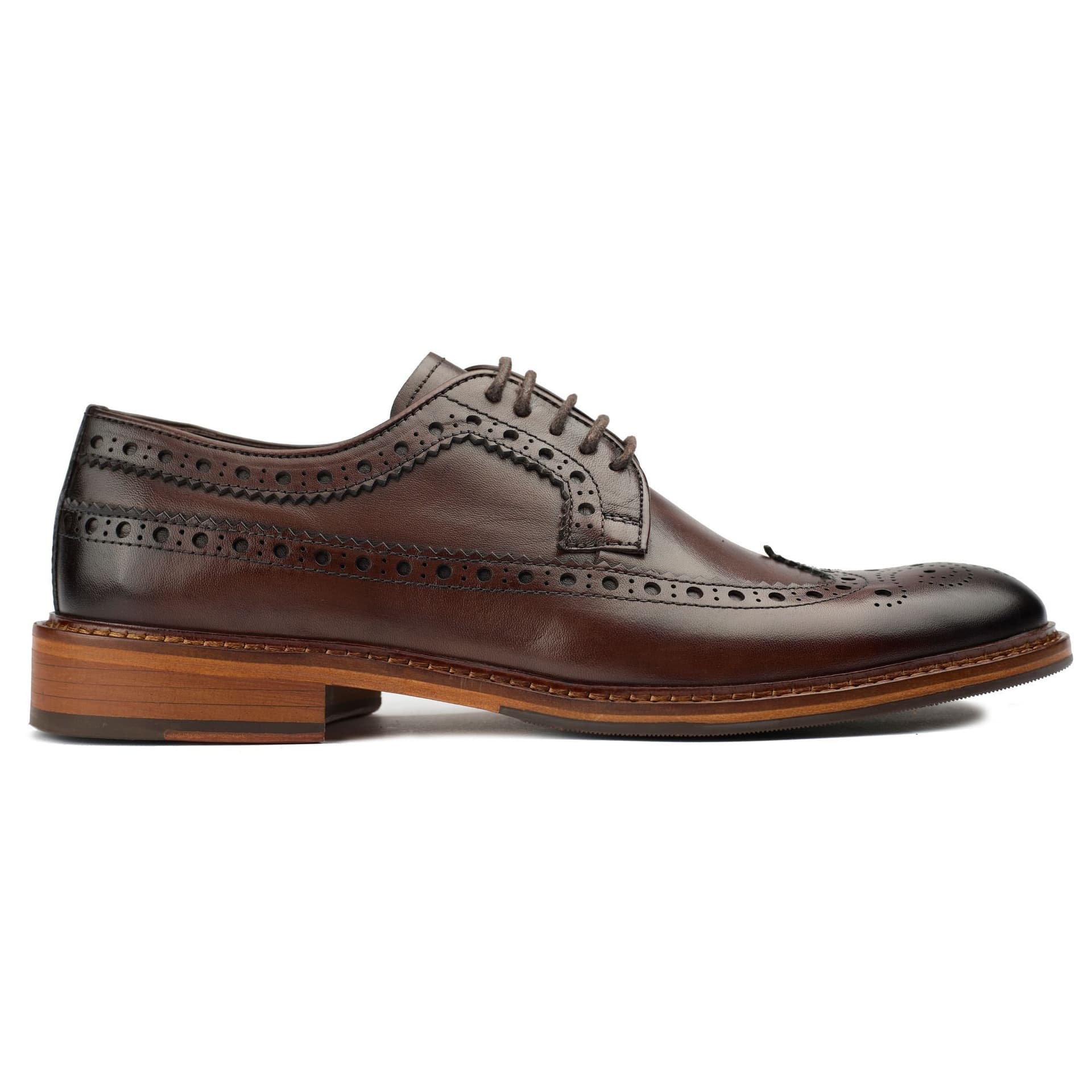 SOLE SOLE Men's Etham Brogue Shoes in Brown