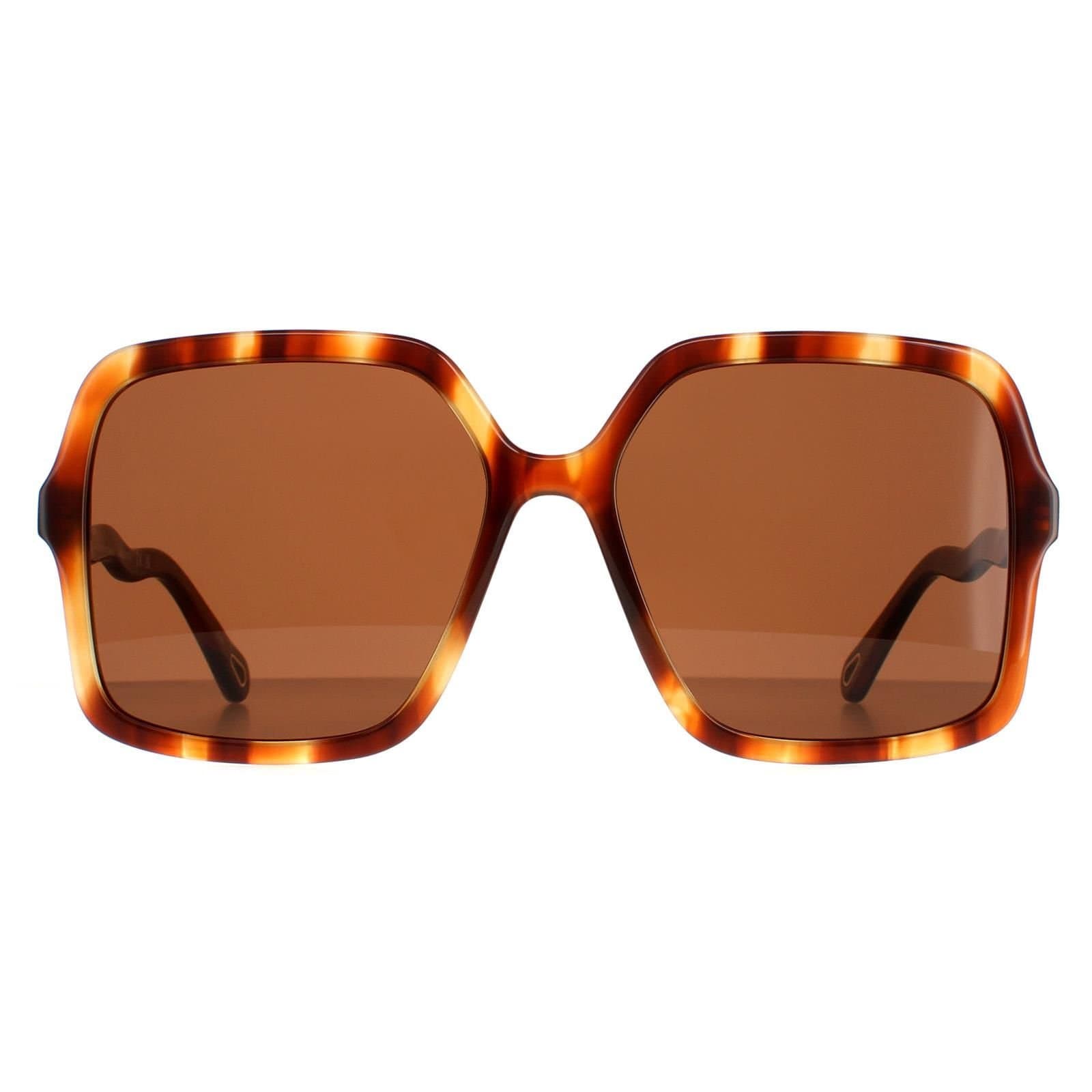 Chloé Chloé Women's Square Havana Brown CH0086S Zelie
