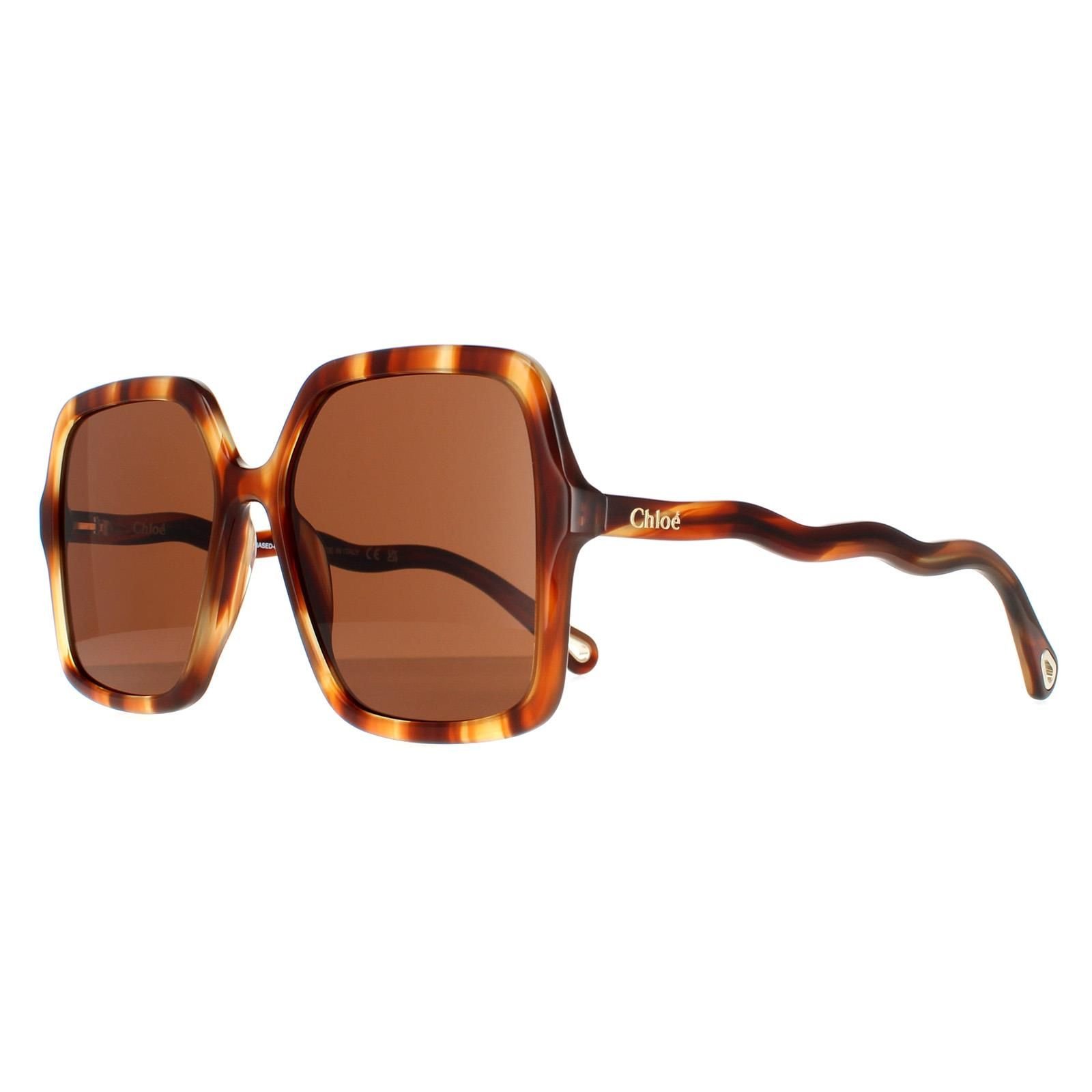Chloé Chloé Women's Square Havana Brown CH0086S Zelie - 2