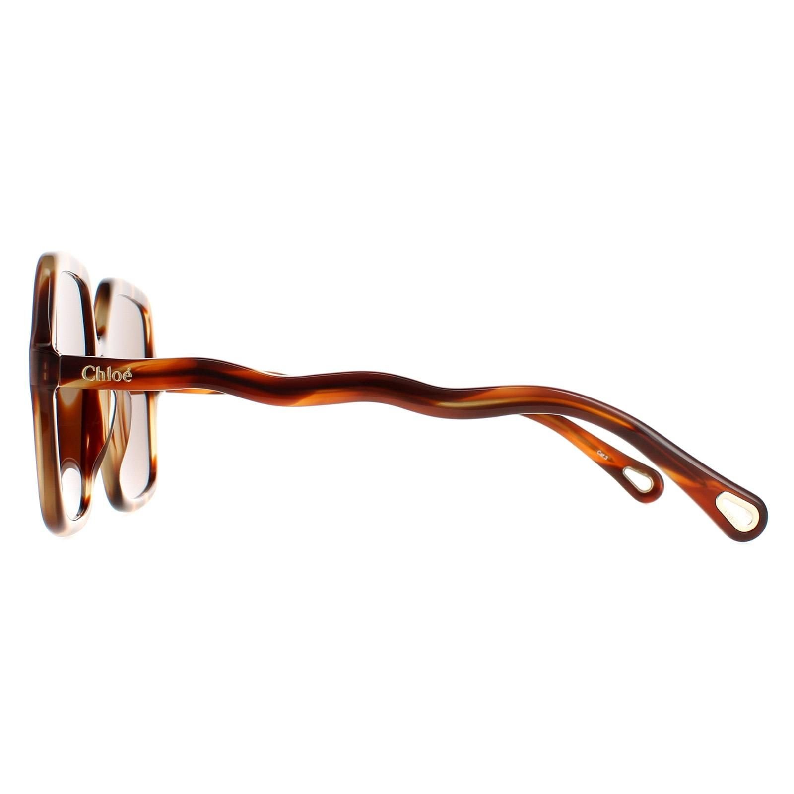 Chloé Chloé Women's Square Havana Brown CH0086S Zelie - 3