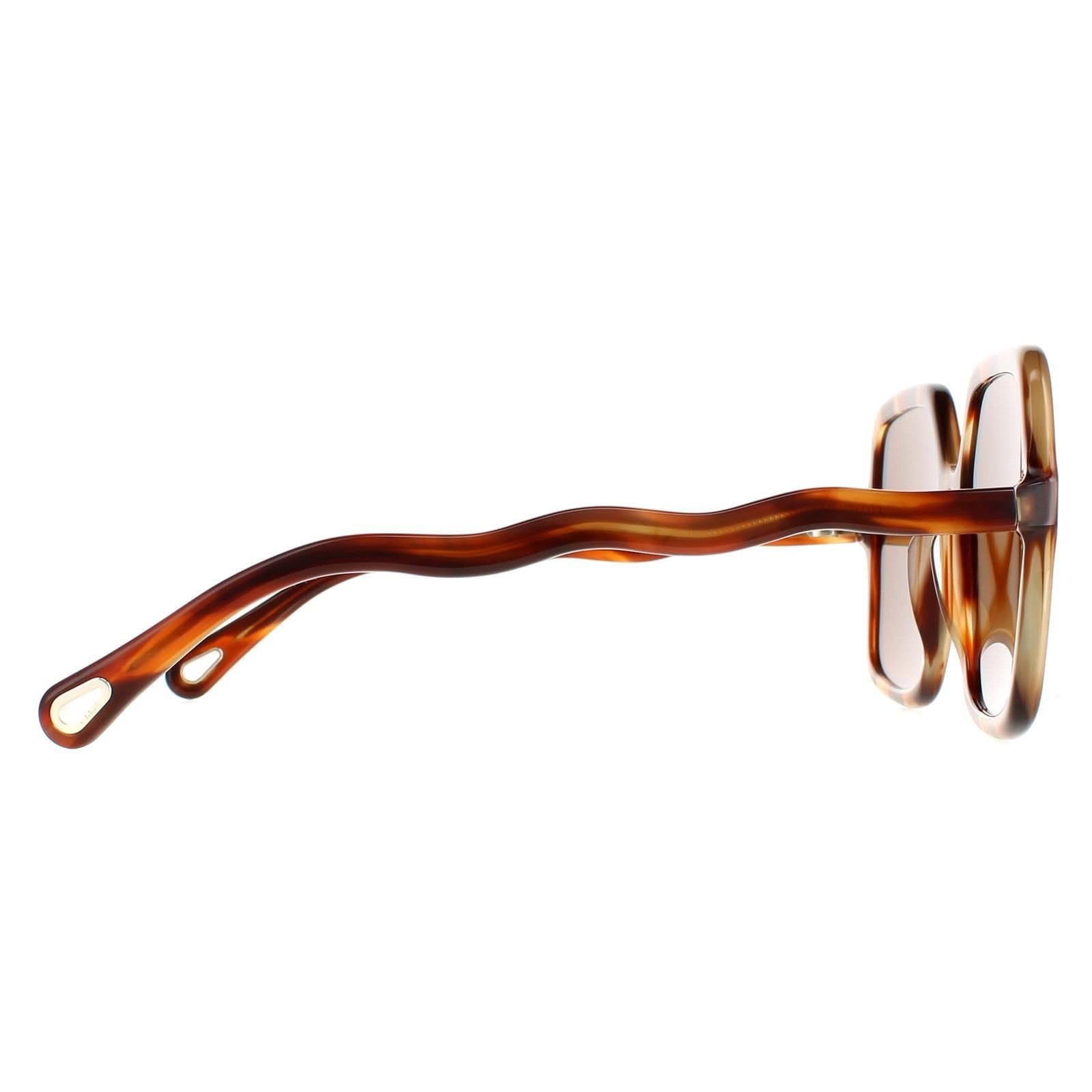 Chloé Chloé Women's Square Havana Brown CH0086S Zelie - 4