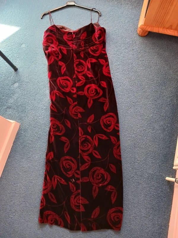 PLANET Planet velvet gown