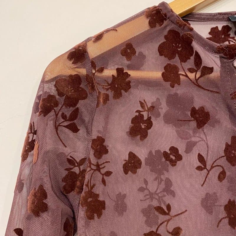 ASOS Asos Brown Dark Academia Velvet Sheer Embroidered Button Down Blouse Small