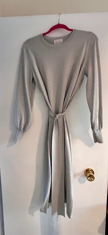 Dancing Leopard Silver jumper dress