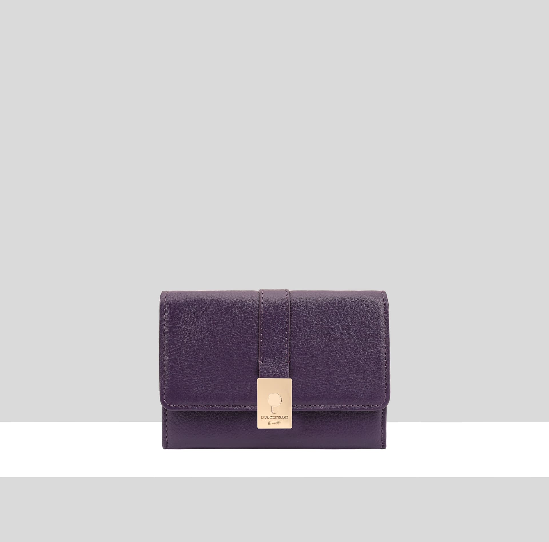 Paul Costelloe Paul Costelloe Women's Sinu Purse in Dark Indigo