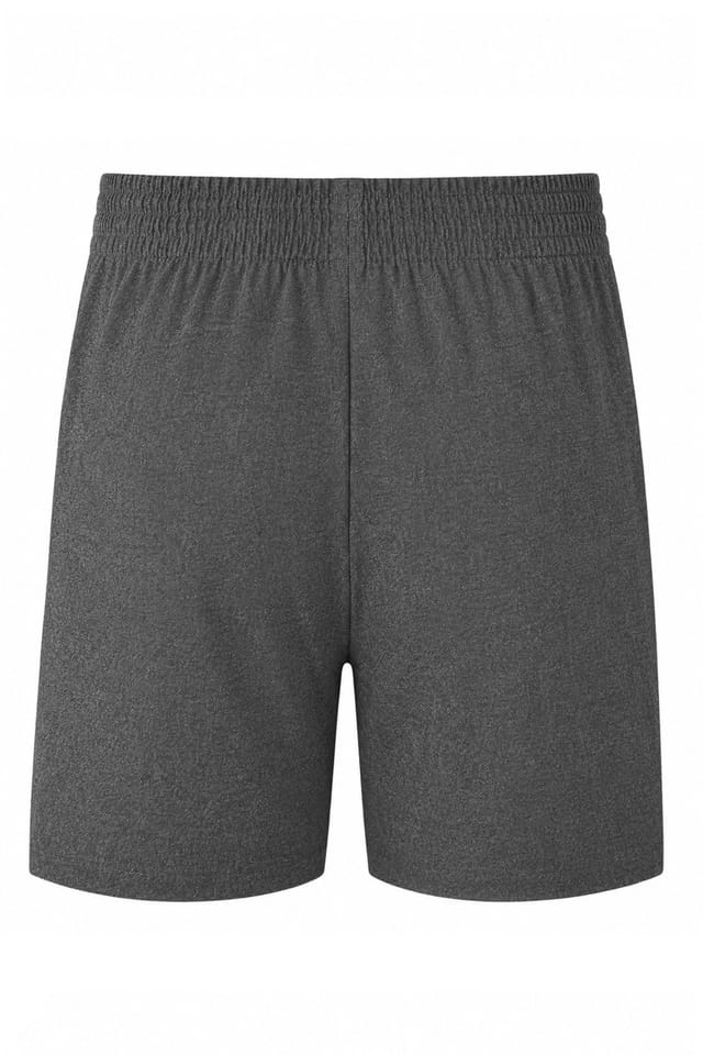 David Luke David Luke Men's Pull-Up School Shorts in Grey - 2